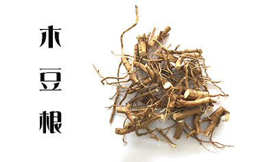 同时,药用型木豆的根,茎,叶,花,种子都有极高的药用价值.